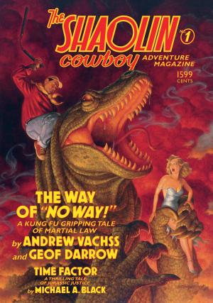 Book cover of The Shaolin Cowboy Adventure Magazine: The Way of No Way!