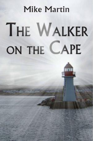 Book cover of The Walker on the Cape
