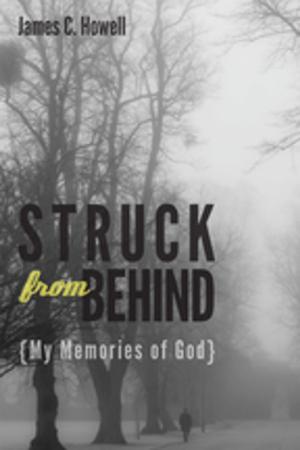 Cover of the book Struck from Behind by Jean-Marc Parisis