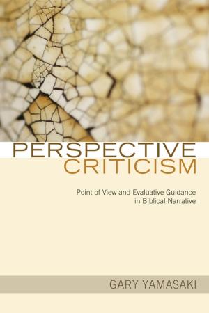 Cover of the book Perspective Criticism by 