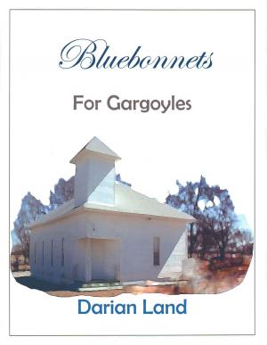 Book cover of Bluebonnets For Gargoyles