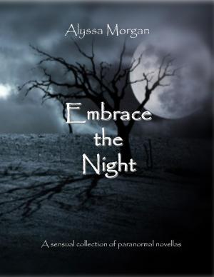 Cover of the book Embrace the Night by Andrew Day