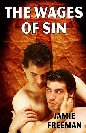 Cover of the book The Wages of Sin by Alicia Cameron