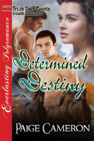 Cover of the book Determined Destiny by Olivia Black