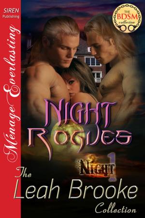 Cover of the book Night Rogues by Chloe Lang