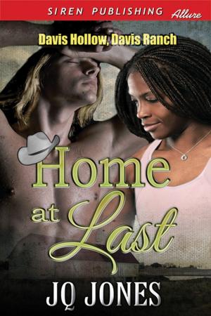 Cover of the book Home at Last by Paige Cameron