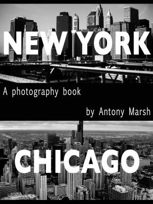 Cover of the book New York & Chicago by Emmet Mc Mahon