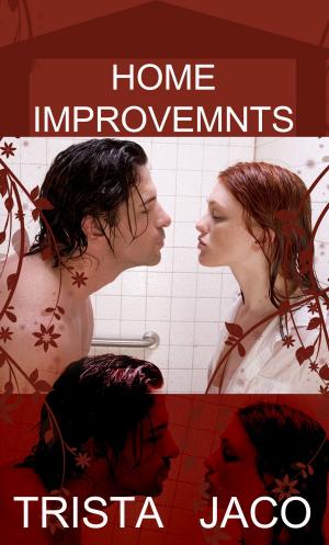 Cover of the book Home Improvements by Melisa Poche
