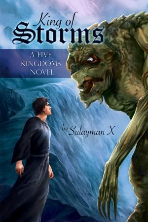 Cover of the book King of Storms by Amy Rae Durreson