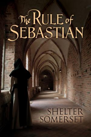 Cover of the book The Rule of Sebastian by Marie Sexton