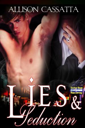 Cover of the book Lies &amp; Seduction by Brandon Witt