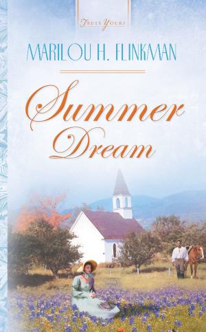 Cover of the book Summer Dream by Norma Jean Lutz