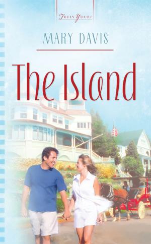 Cover of the book The Island by Wanda E. Brunstetter