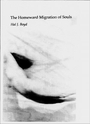 Cover of the book The Homeward Migration of Souls by Laxleyval Sagasta