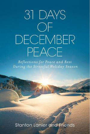 Cover of the book 31 Days of December Peace by Lauren Lynne