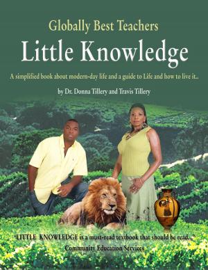 Cover of the book Little Knowledge by Danita S Geltner