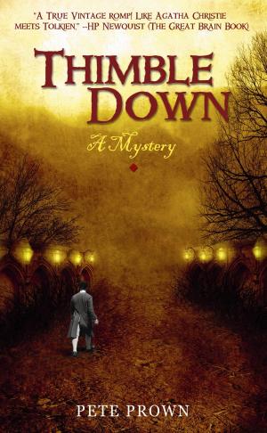 Cover of the book Thimble Down by Stephanie Tehan Patterson