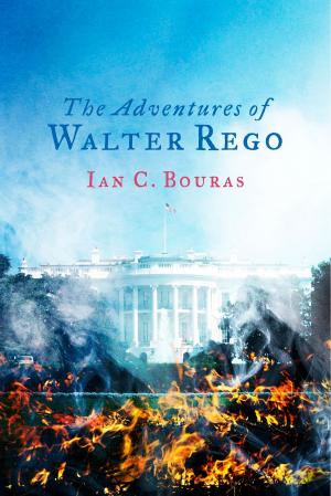 Cover of the book The Adventures of Walter Rego by Kimberly Simpson