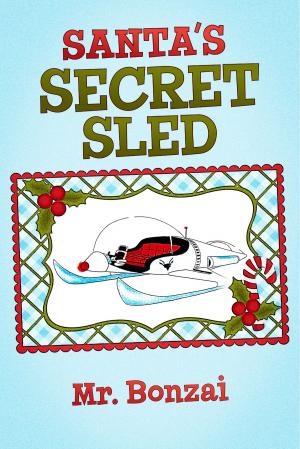 Book cover of Santa's Secret Sled