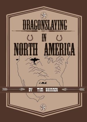 Cover of the book Dragonslaying in North America by Ben Klaiber