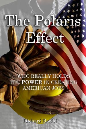 Cover of the book The Polaris Effect by Bob Ricker