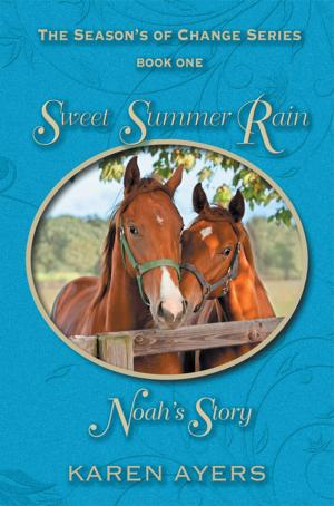 Cover of the book Sweet Summer Rain . . . Noah's Story by Janez Škrubej