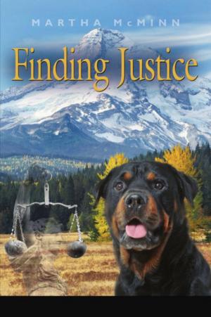 bigCover of the book Finding Justice by 