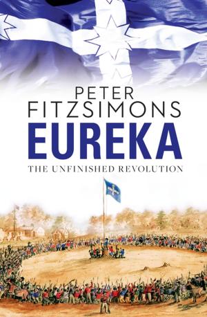 Cover of the book Eureka: The Unfinished Revolution by Gregor Salmon