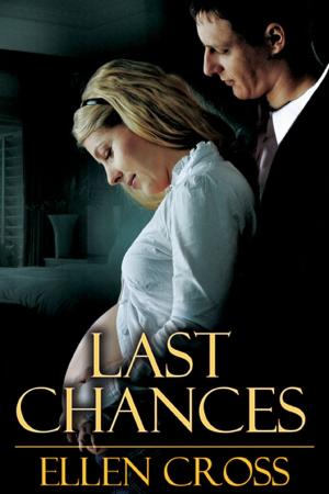 Cover of the book Last Chances by Valarie Prince