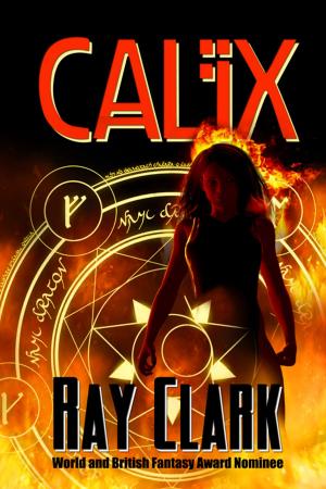 Cover of the book Calix by Rachel DeFriez