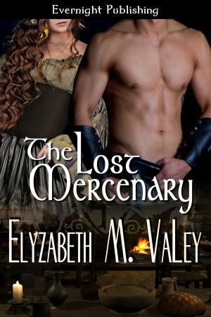 Cover of the book The Lost Mercenary by Alexa Sinclaire