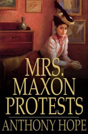 Book cover of Mrs. Maxon Protests