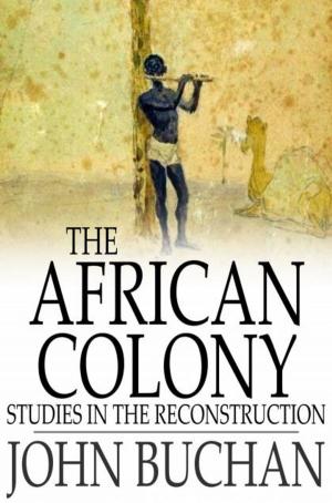 Cover of the book The African Colony by Stephen Leacock
