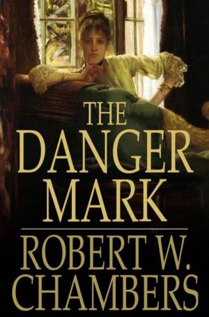 Book cover of The Danger Mark