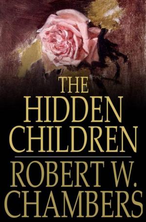 Cover of the book The Hidden Children by Harry Castlemon