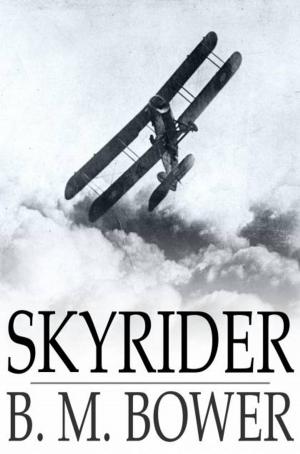 Cover of the book Skyrider by Charles Siefken, Wendy Siefken