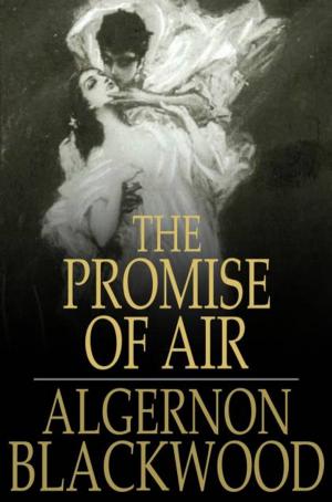Cover of the book The Promise of Air by Tom Tancin