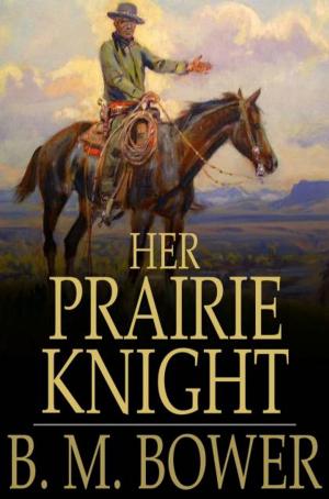 Cover of the book Her Prairie Knight by Arthur J. Rees