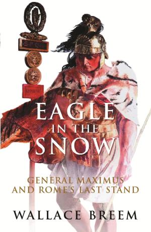 Book cover of Eagle in the Snow