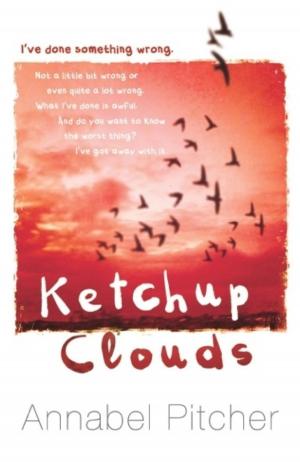 Cover of the book Ketchup Clouds by Anne Digby, Anne Digby