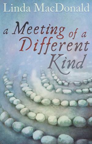 Cover of the book A Meeting of a Different Kind by Gil Hogg