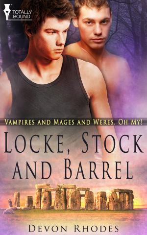 Cover of the book Locke, Stock and Barrel by Beth D. Carter