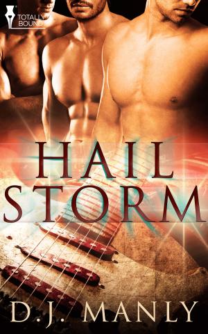 Cover of the book Hail Storm by A.J. Llewellyn, D.J. Manly