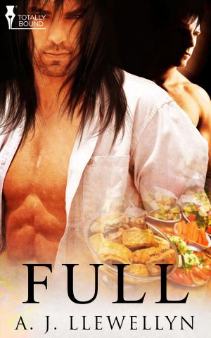 Cover of the book Full by Angel Martinez, Bellora Quinn