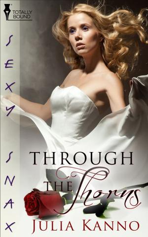 Cover of the book Through the Thorns by Simone Anderson