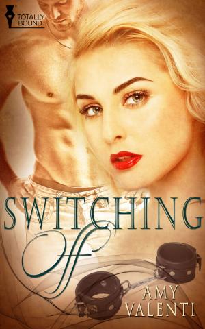 Cover of the book Switching Off by Victoria Blisse