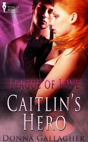 Cover of the book Caitlin's Hero by Nica Elson