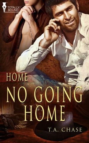 Book cover of No Going Home