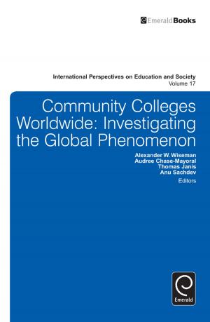 Cover of the book Community Colleges Worldwide by Rajib Shaw