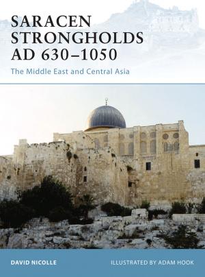 Cover of the book Saracen Strongholds AD 630–1050 by Professor Jonathan Hill, Associate Professor Adeline Chong
